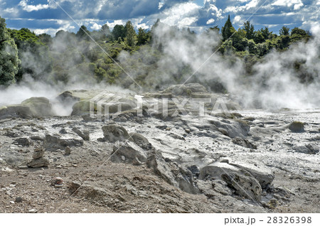 Whakarewarewa Geyser in Rotorua, New Zealand 28326398