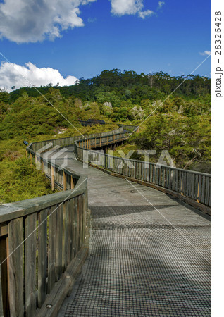 Walkway to Whakarewarewa Geyser in Rotorua Walkway to Whakarewarewa Geyser in Rotorua 28326428