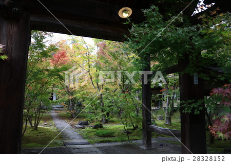 信州の苔寺 28328152