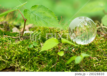 ガラスの地球イメージ 28328830