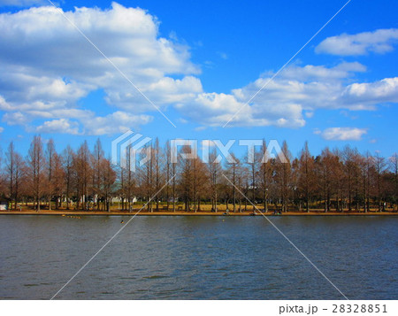 水元公園 28328851