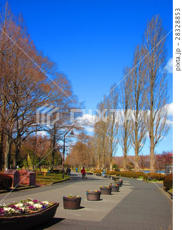 水元公園 28328853