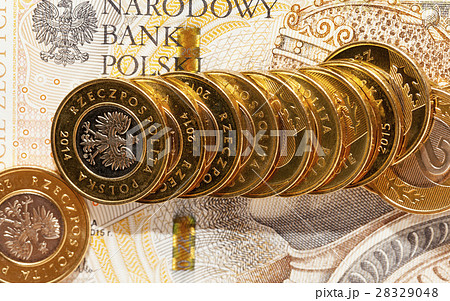 Polish coins close up 28329048