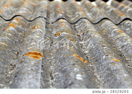 slate with moss 28329203