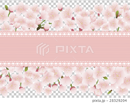 桜の花とレースのメッセージカードのイラスト素材 2294