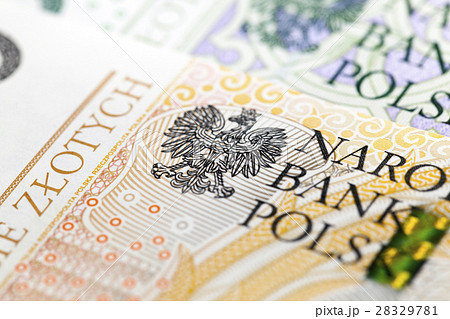 Polish Zloty closeup Polish Zloty closeup 28329781