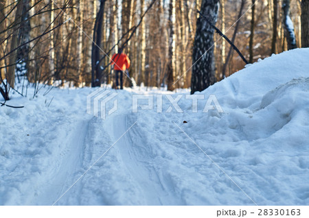 Ski track in park Ski track in park 28330163
