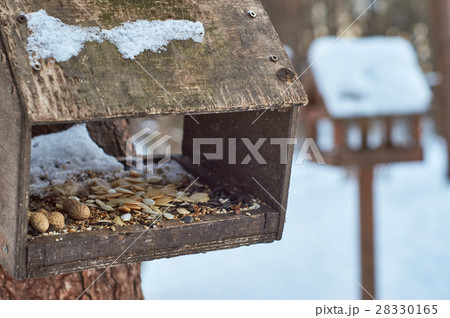 Birds feeders with seeds Birds feeders with seeds 28330165