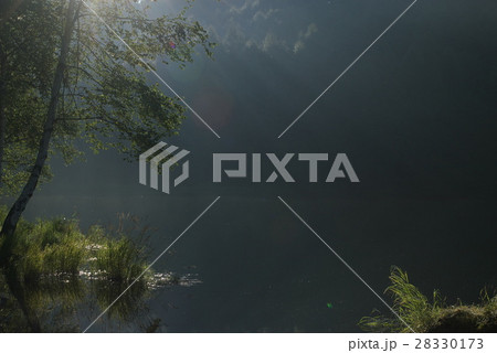 夏、逆光に輝く御射鹿池【東山魁夷作品の舞台】 夏、逆光に輝く御射鹿池【東山魁夷作品の舞台】 28330173