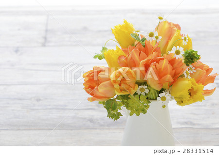 チューリップ 春 春の花 チューリップ 春 春の花 28331514