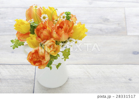 チューリップ　春　春の花 28331517