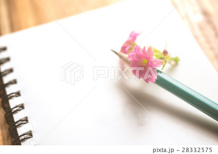 close up pink flower , pencil and notebook  28332575