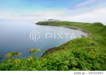 礼文島　北海道 28332607