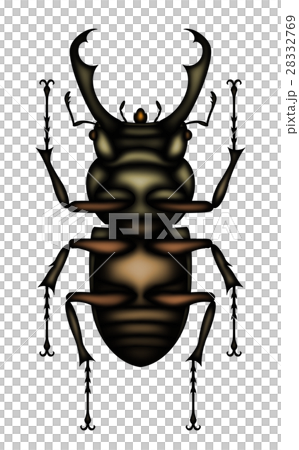 Stag beetle (ventral side) Stag beetle (ventral side) 28332769