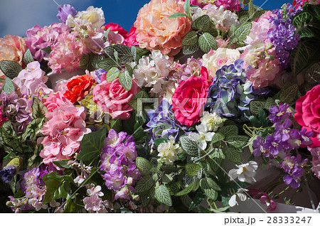 flowers 28333247