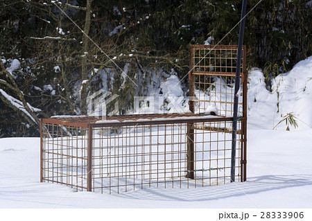イノシシ対策　冬 28333906