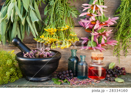 bunches of healing herbs on wooden wall bunches of healing herbs on wooden wall 28334160