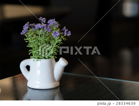 SMALL PLANT POTTED IN WATERING POT ON TABLETOP 28334639