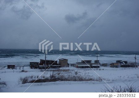 鯵ヶ沢焼きイカ通り 28335032