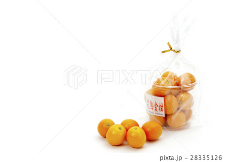 くだもの きんかん 産地:宮崎県産 完熟キンカン くだもの きんかん 産地:宮崎県産 完熟キンカン 28335126