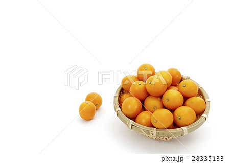 くだもの　きんかん　産地：宮崎県産　完熟キンカン 28335133