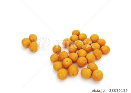 くだもの　きんかん　産地：宮崎県産　完熟キンカン 28335135