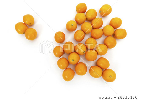 くだもの　きんかん　産地：宮崎県産　完熟キンカン 28335136