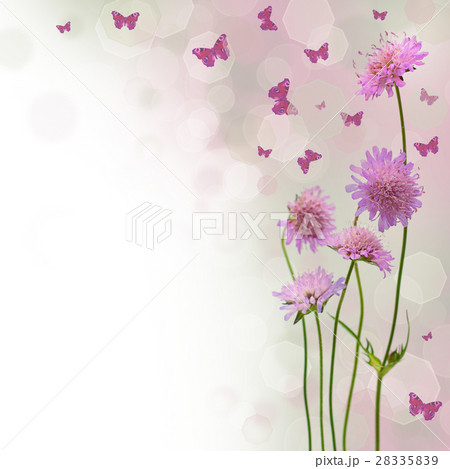 blurred floral border with flowers 28335839