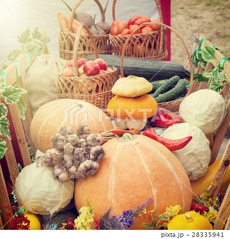 Harvested vegetables and fruits in wooden cart Harvested vegetables and fruits in wooden cart 28335941