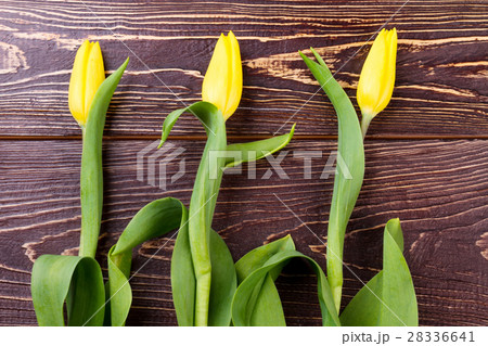 Yellow tulips on wooden background. 28336641