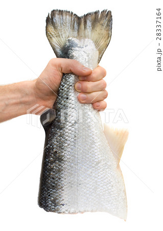Male hand with salmon fish containing omega-3 28337164