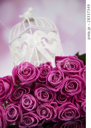 Love and cage, romantic vintage love background 28337349