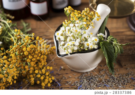 Herbs, berries and flowers with mortar, on wooden  28337386