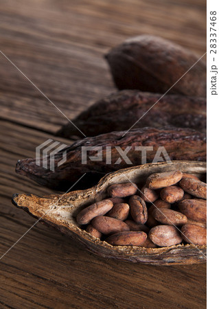 Cocoa pod on wooden background 28337468