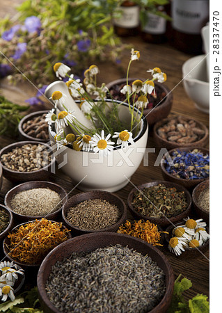 Natural medicine, herbs, mortar on wooden  28337470