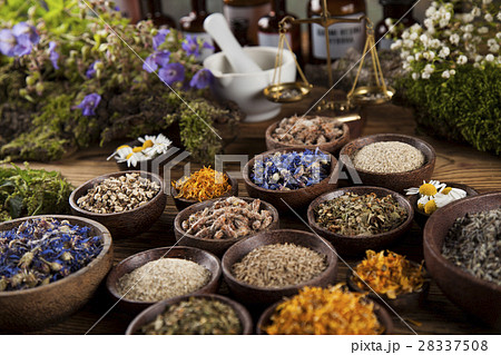 Natural medicine, herbs, mortar on wooden  28337508