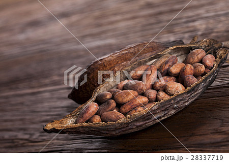 Cocoa pod on wooden background Cocoa pod on wooden background 28337719