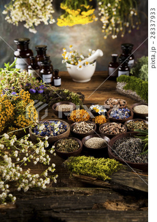Alternative medicine, dried herbs and mortar  28337933