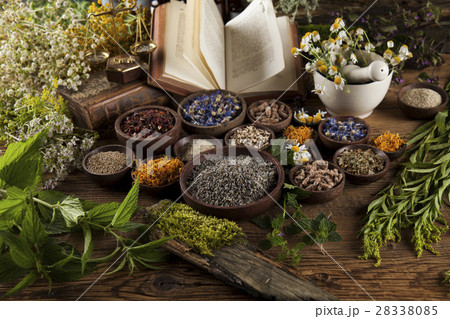 Herbal medicine and book on wooden background 28338085