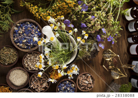 Herbs, berries and flowers with mortar, on wooden 28338088