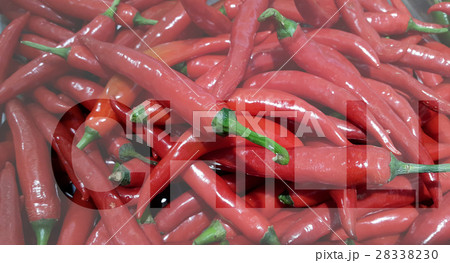 Chilli texture with graphic letter Chilli texture with graphic letter 28338230