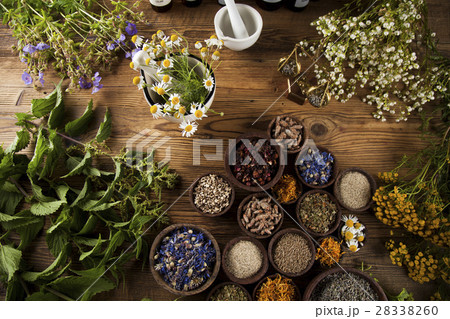 Natural medicine, herbs, mortar on wooden  28338260
