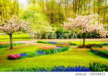 Formal spring garden 28338825