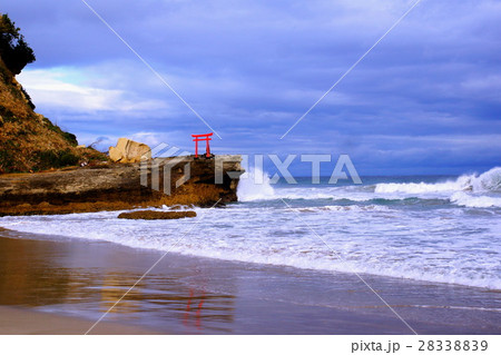 伊豆半島　海浜鳥居 （白濱神社）　白浜大浜 （静岡県 下田市） 28338839