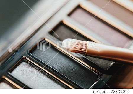 Professional Makeup Brush And Eye Shadow Palette 28339010