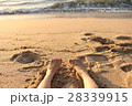 砂浜と足 28339915