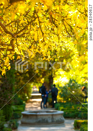 Gardens in Retiro park in Madrid, Spain.  28340617