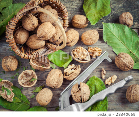 Walnuts, nutcracker and basket on old table. Walnuts, nutcracker and basket on old table. 28340669