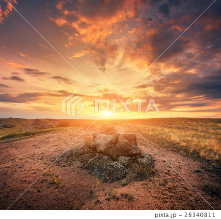 Summer landscape in the beautiful steppe at sunset Summer landscape in the beautiful steppe at sunset 28340811