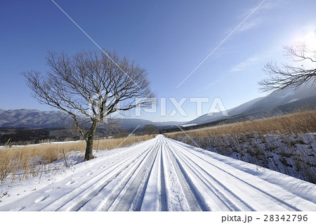鬼首の雪景色・鳴子温泉鬼首(宮城県) 鬼首の雪景色・鳴子温泉鬼首(宮城県) 28342796